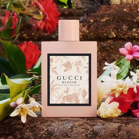 gucci bloom ingredientes|gucci bloom original.